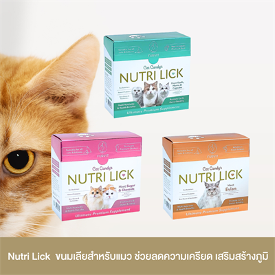 CatCandy Nutri Lick  วิตามินแมวเลีย ช่วยลดความเครียดและความวิตกกังวล เสริมสร้างระบบภูมิคุ้มกัน